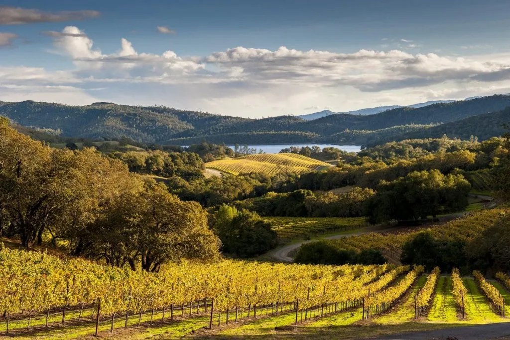 Napa Valley